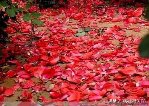 清·龚自珍己亥杂诗落红不是无情物,化作春泥更护花.