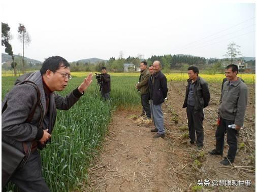《侯卫东官场笔记》中遇人不淑的池铭