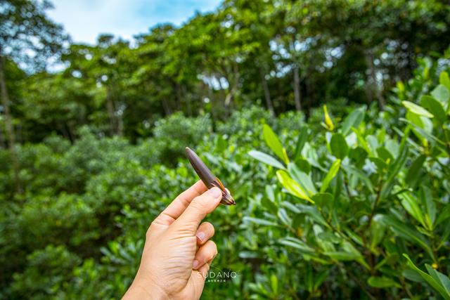 梦想牌过滤机效果到底好不好