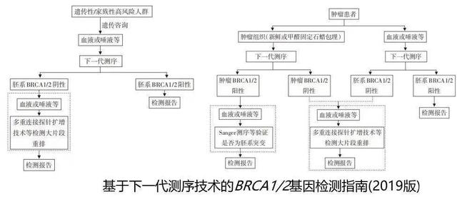 癌癥會遺傳嗎