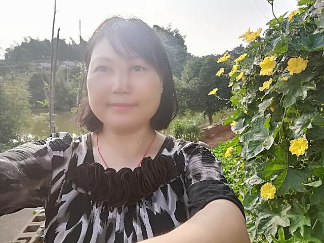 高高的树上摘冬瓜 全网搜