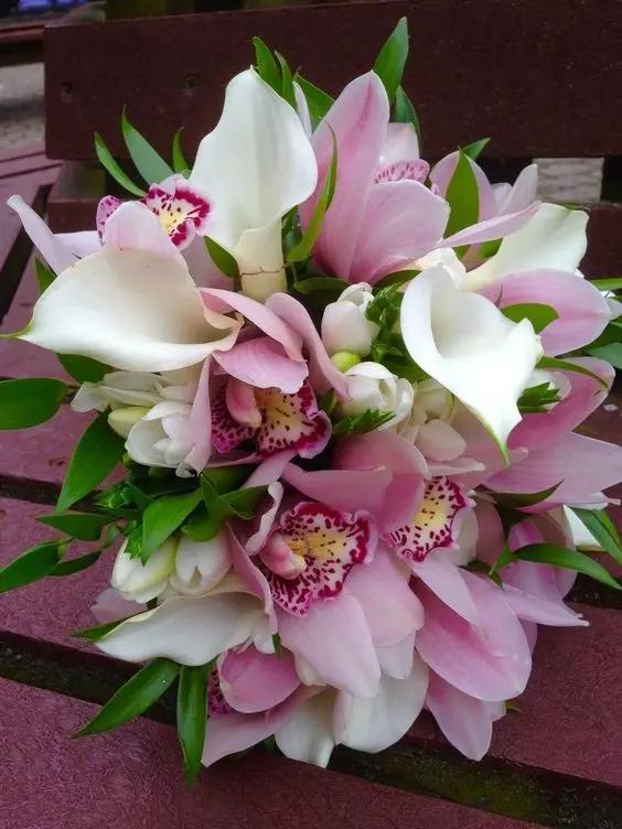 马蹄莲花语 马蹄莲花语（马蹄莲花语象征与寓意） 生活