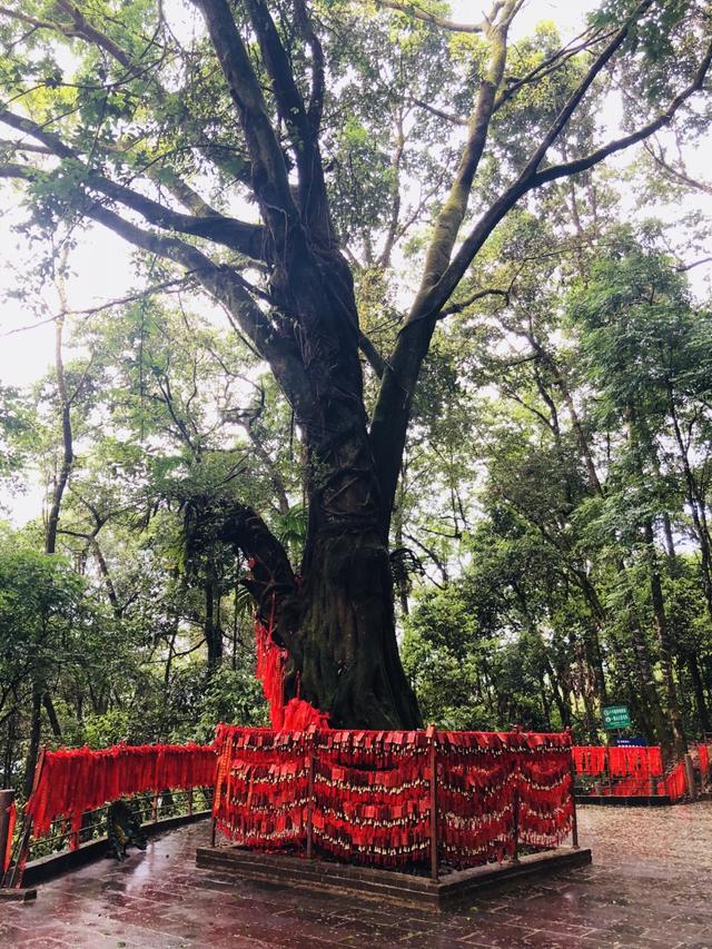 芒市螺旋洗砂机批发