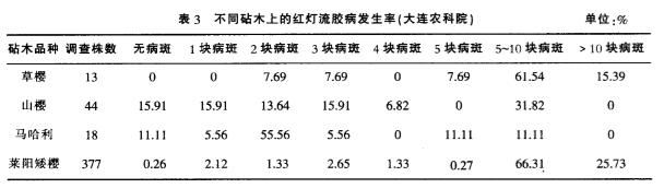 樱桃流胶病很凶猛！严重可使树体死亡！要牢记发病原因和防治方法6