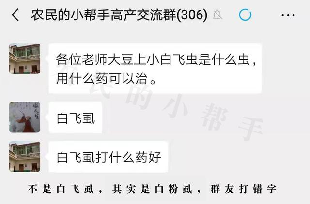 大豆20-30天后收获，叶片上发现很多会飞的小白虫，该怎么治？