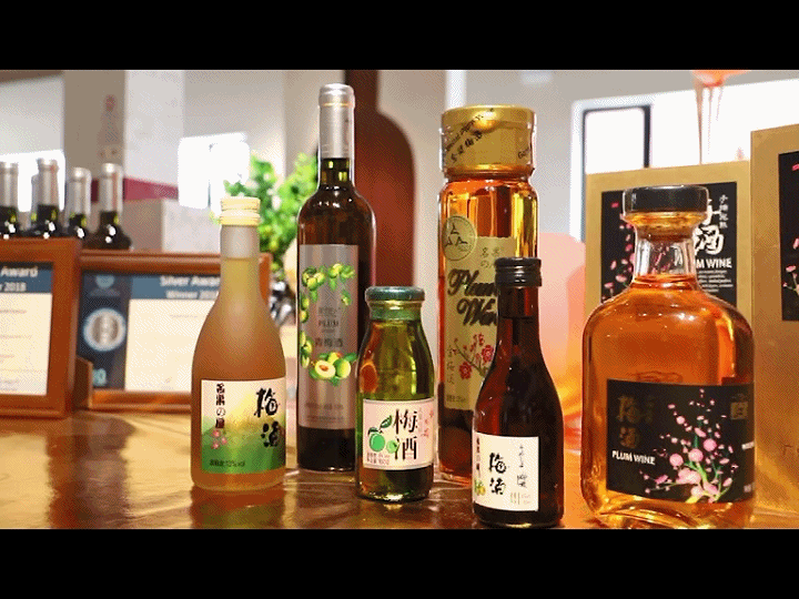 南充青梅果酒过滤机