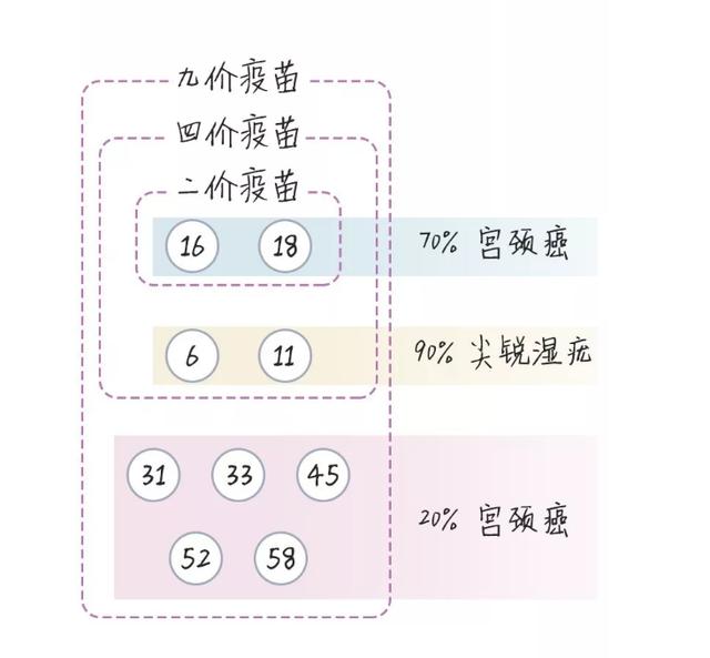 宫颈癌疫苗2价4价9价的区别