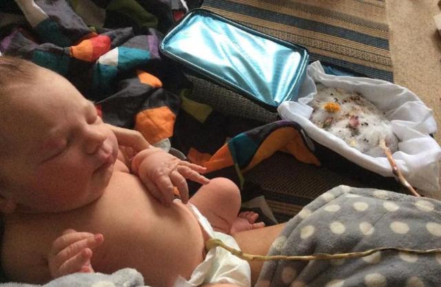 不上学，不吃药，不打疫苗，英国夫妇育儿方法震惊全国