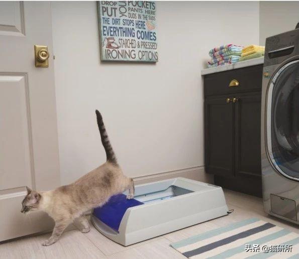 洗衣机洗猫砂