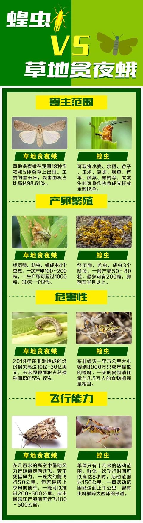 紧急！草地贪夜蛾已侵入6省，农业农村部推荐28种防控药剂2