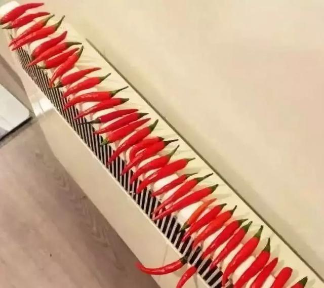 在身体乳里加茶油