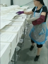 搞笑的动图GIF：一天卖多少钱无所谓，主要是气质不能输！