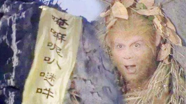 是什么意思中文