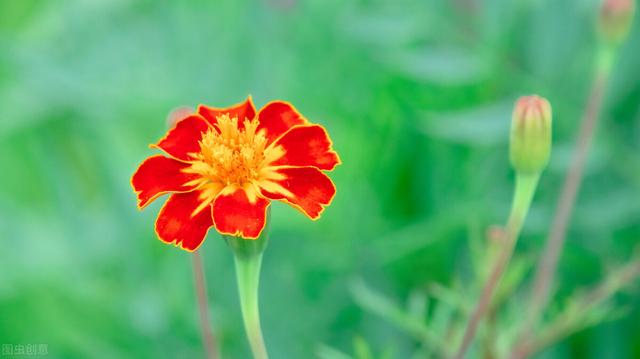 问了近百位待产妈妈整理出来的清单，拿走不谢