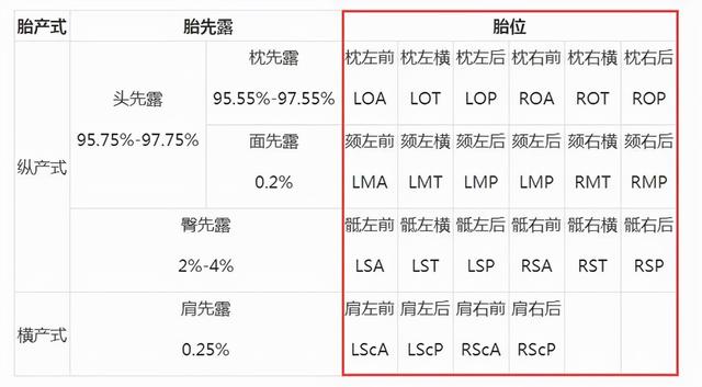 头位loa是什么意思