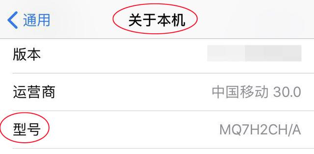 ll代表什么意思