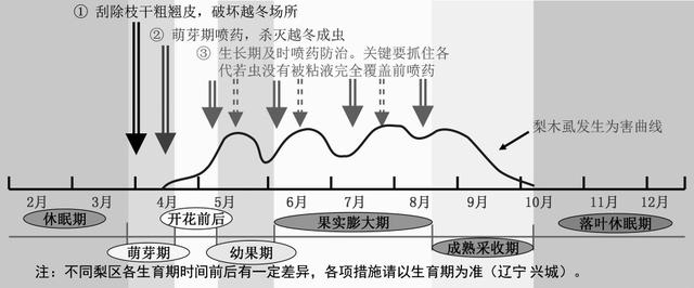 梨园梨木虱的田间症状诊断与防治实用技术3