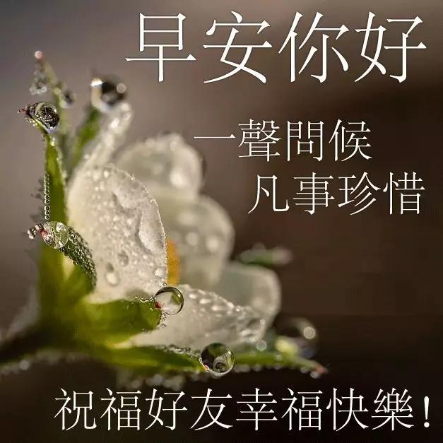 冬天早上好问候语祝福语 冬天早安表情图片大全
