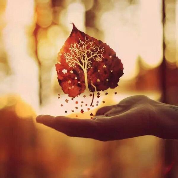 精神内守，病安从来？