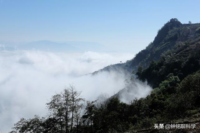 昆明离心过滤机