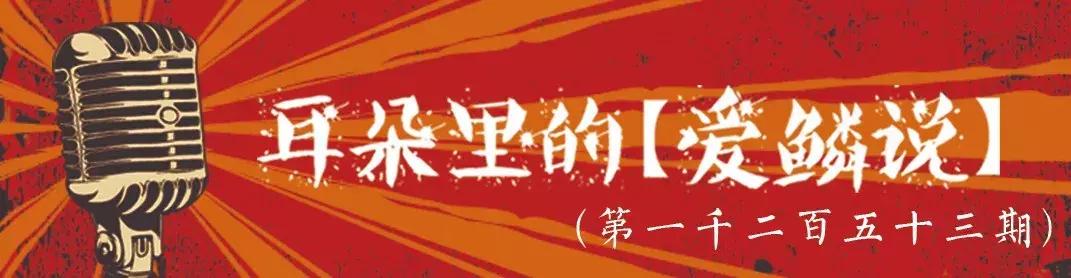 锦鲤白写