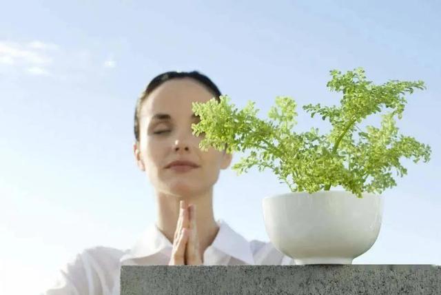 中老年人的养生之道都有哪些呢？