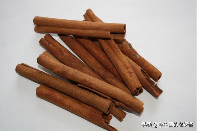 每日一中药——肉桂