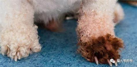 外阴表皮角化不全什么意思