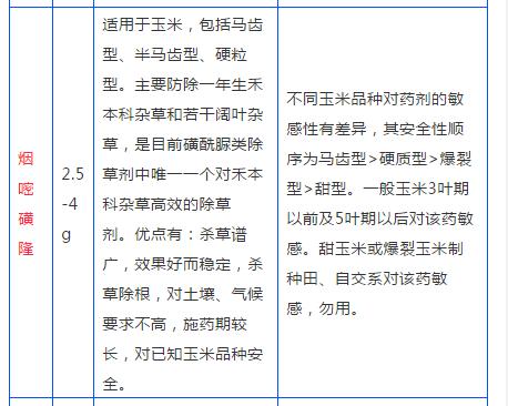 该种玉米了！用什么除草剂效果好？这张表，一看就知道！7