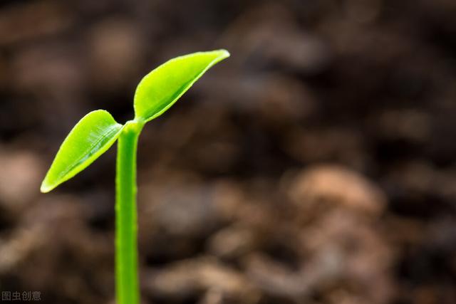 生男孩才有地位？看了产房的姐姐，我对养育女儿有了新看法