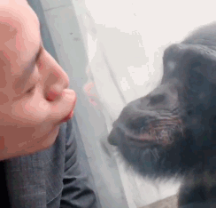 精彩的动态图片GIF:我就蹭蹭,别紧张!