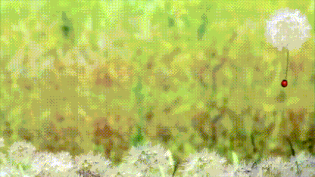 16部超赞自然纪录片，让孩子足不出户看到地球的“真实面目”！