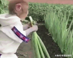 爆笑的动态GIF图片：妹子，你男友漏气了
