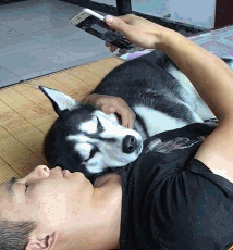 搞笑的GIF趣图：有钱人家，上厕所都这样光明真大吗？