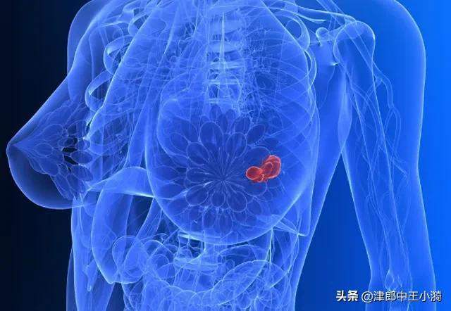 乳腺增生的朋友不能喝豆浆？这还得从黄豆说起