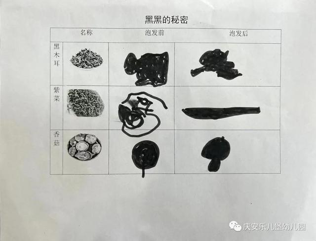 好吃的黑黑——诺亚舟庆安乐儿堡幼儿园中四班课程故事