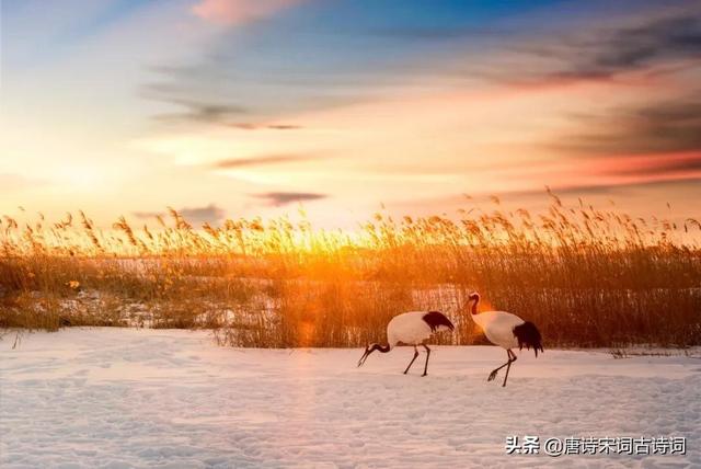 描写夕阳的句子，夕阳无限好,犹能灿长天的意思？