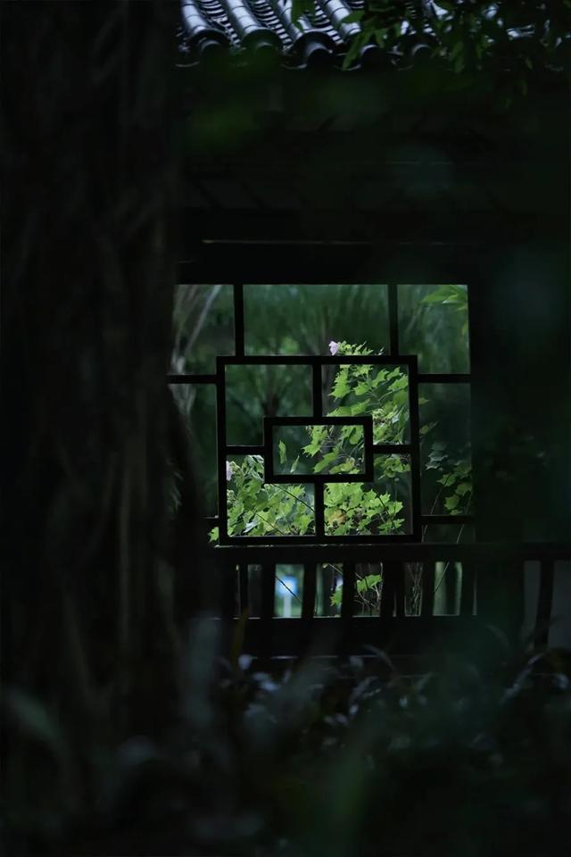 芙蓉花开 芙蓉花开（芙蓉花开花特点） 生活