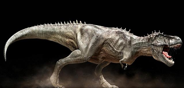 中国科学家6年前发现唯一的恐龙肉身残骸，恐龙复活不再是幻想？