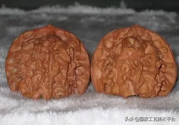 文玩核桃树