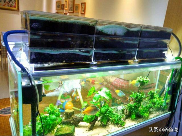 鱼缸里的抽水泵哪里有卖的过滤机的简单介绍