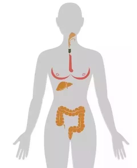 孩子日常会接触到哪些致癌物？想不到这么多（附一级致癌物清单）