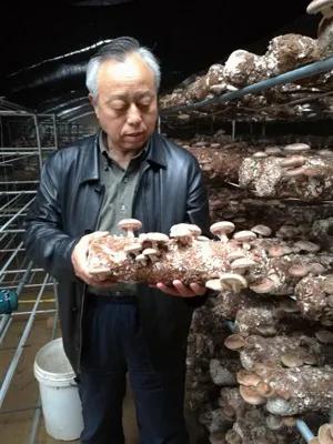 神农架橡胶真空过滤机