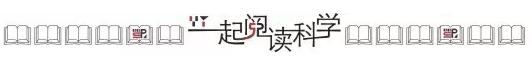 对称性红斑角化症婴儿