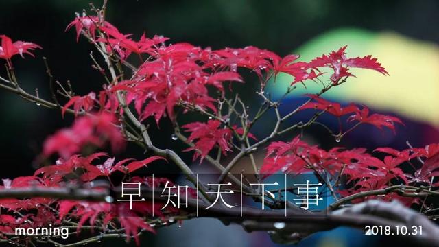 六安挖斗洗砂机多少钱