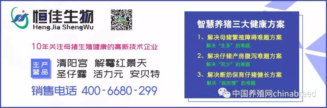 重磅！正邦千亿龙圆环疫苗-正圆净隆重上市！3