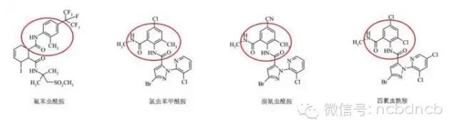 康宽、垄歌、倍内威、艾法迪和9080谁更强？4