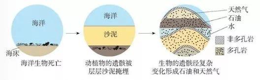 海里有什么 海里有什么（海里有什么东西） 生活