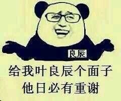 大孔雀和美丽姐中叶良辰是谁(赵日天叶良辰出自哪一本小说)