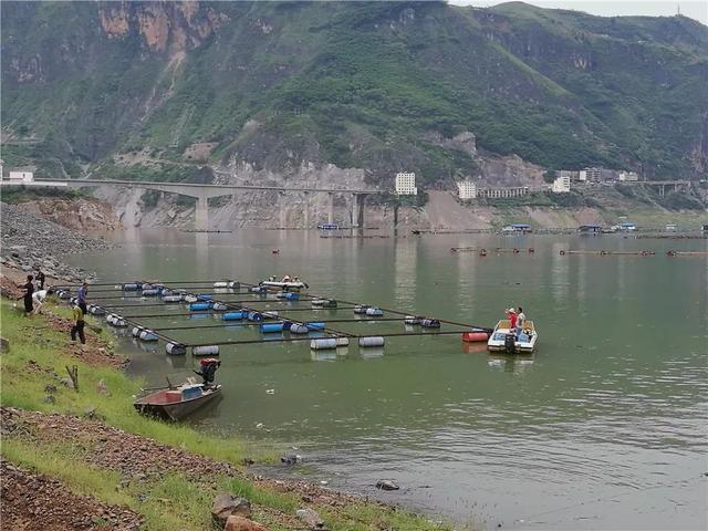 凉山小型洗砂机厂家